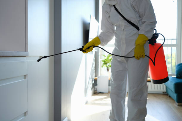 Best Residential Mold Remediation in Rocky Mount, NC